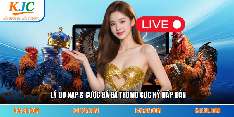 Lý do nạp & cược đá gà Thomo cực kỳ hấp dẫn