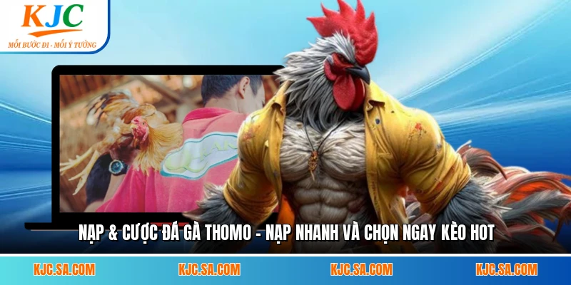 Nạp & Cược Đá Gà Thomo - Nạp Nhanh Và Chọn Ngay Kèo Hot